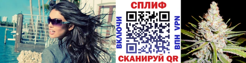 Канабис Брюховецкая