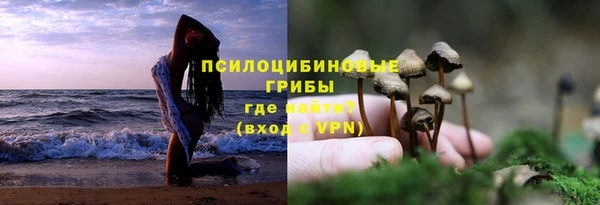 марихуана Магадан