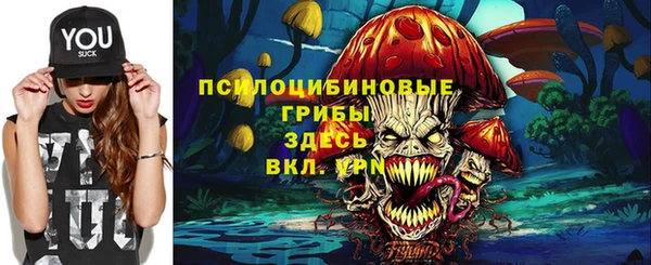 PSILOCYBIN Майский