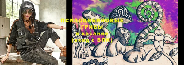 PSILOCYBIN Майский