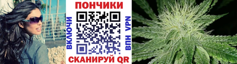 Бошки Шишки сатива Брюховецкая